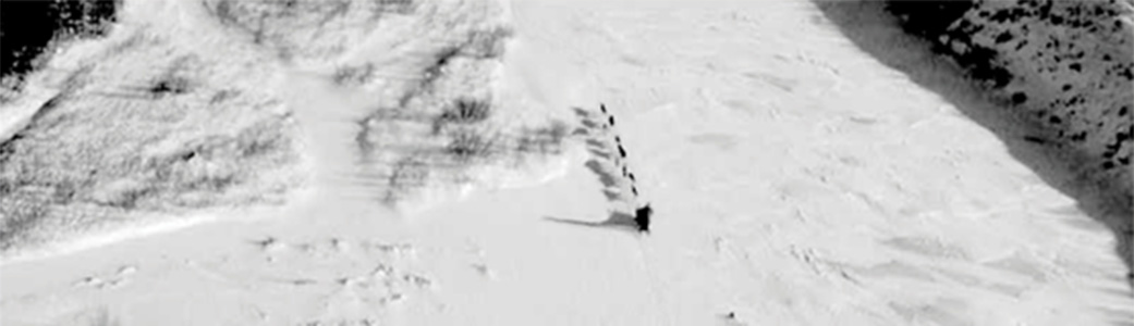 Black and white image of a dogsled team on a frozen river
